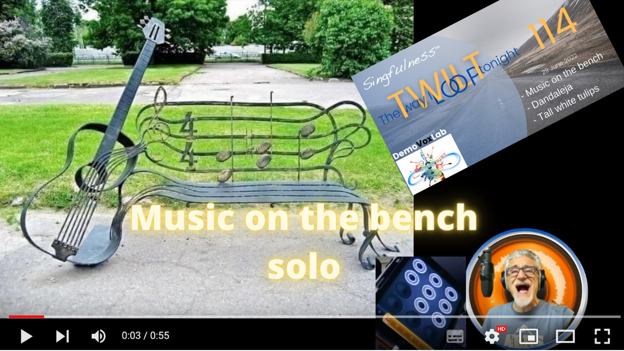 Music on the bench - solo - cop